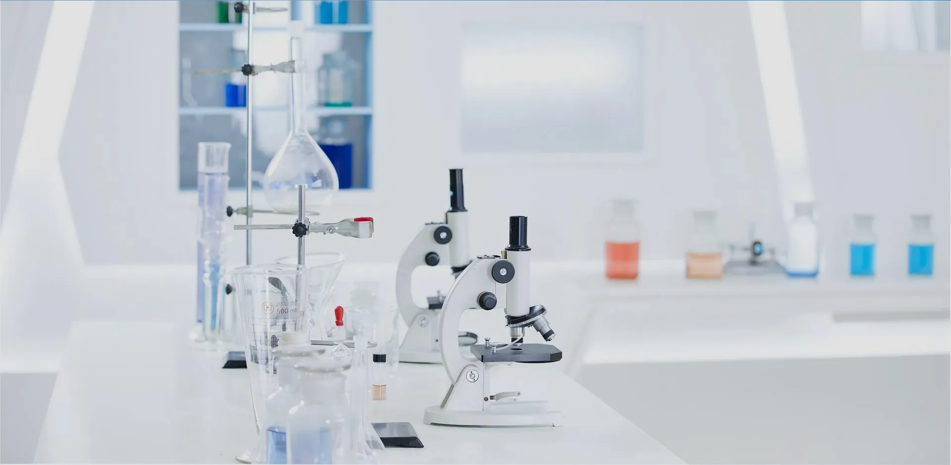 Custom Synthesis Services