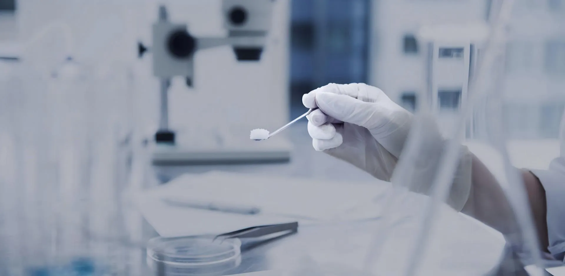 Expert Pyrazine Derivatives: Advanced Organic Synthesis